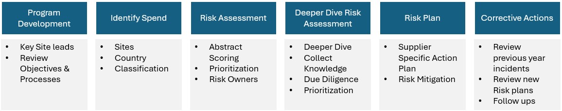 risk analysis execution
